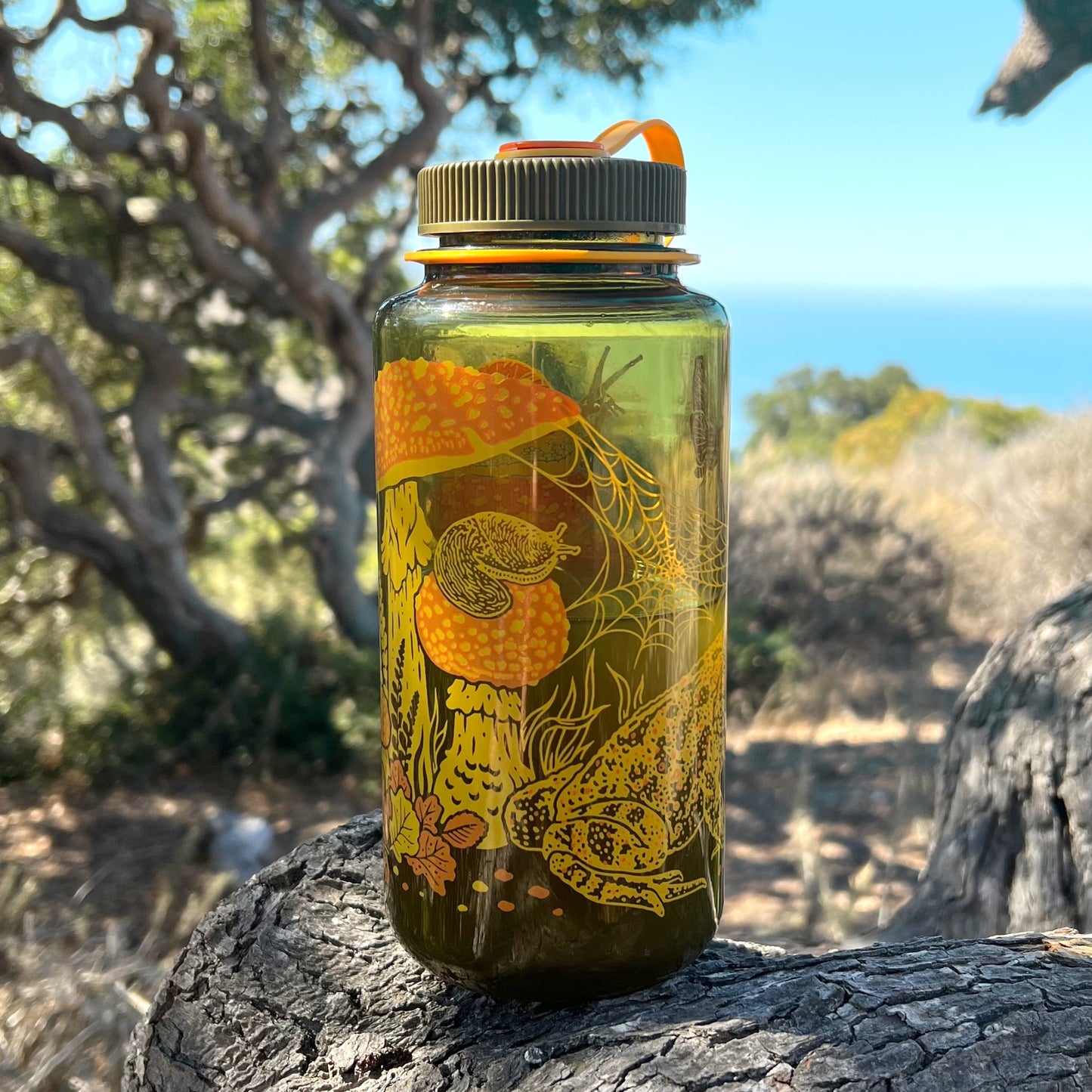 16oz Toad & Mushrooms, Wide Mouth Nalgene Water Bottle - homesewn