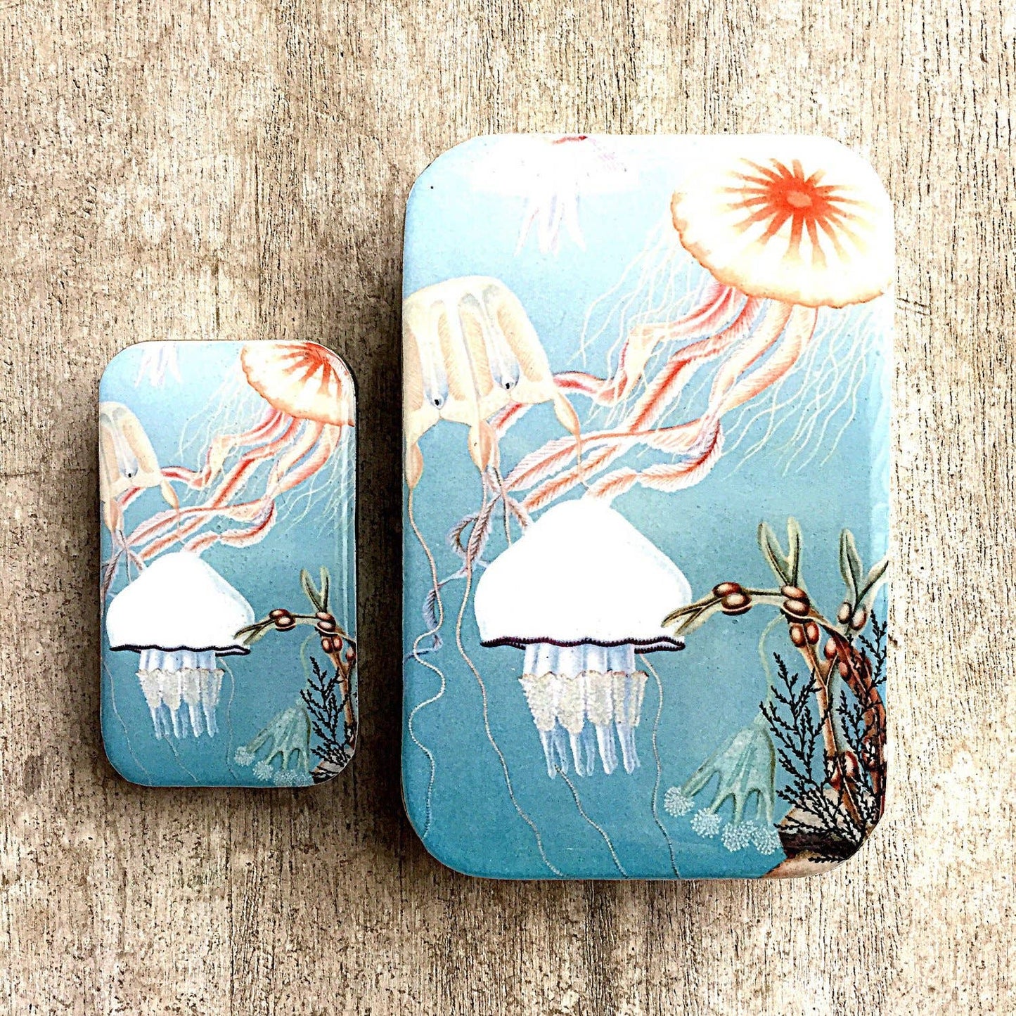 Jelly Fish Storage Tin - homesewn