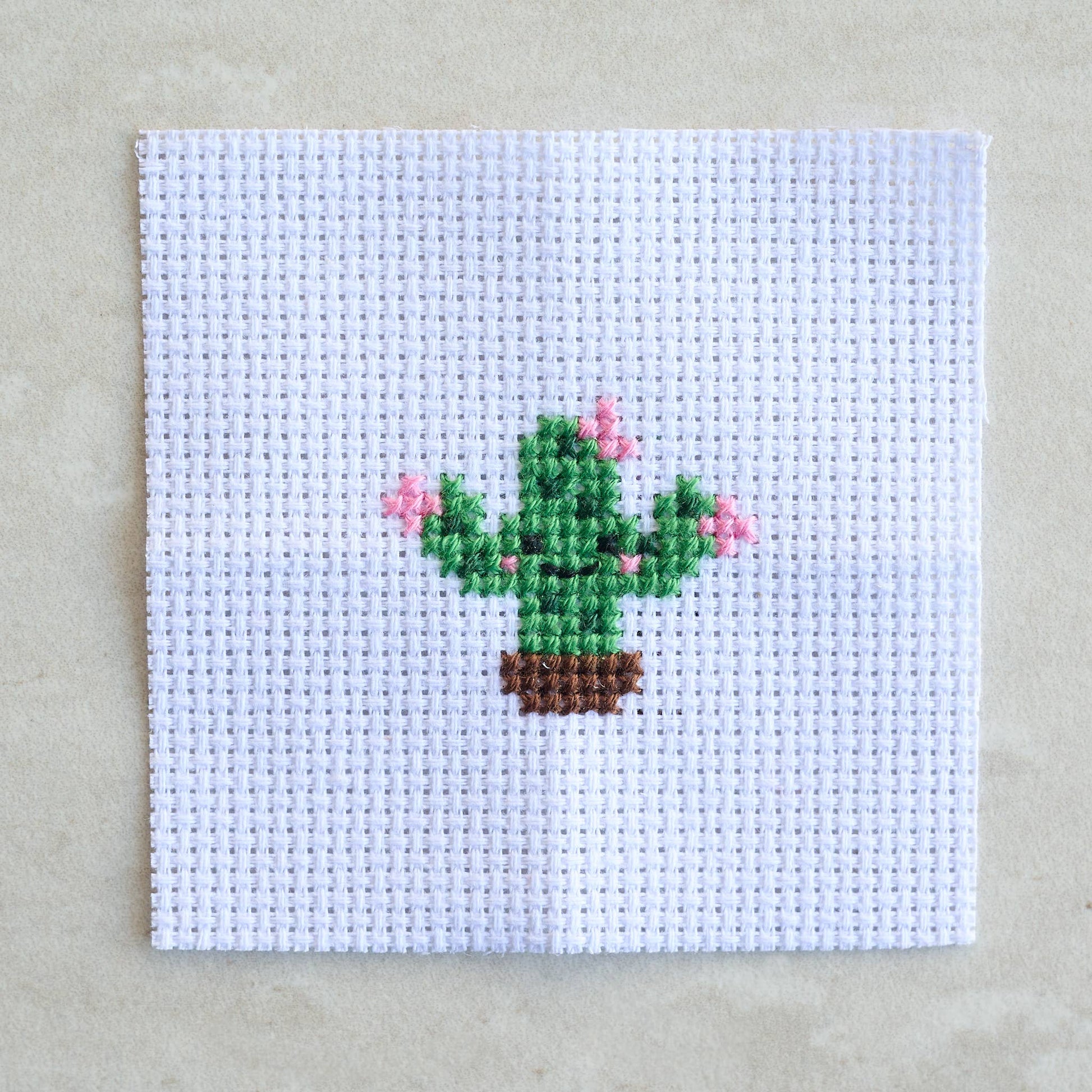 Kawaii Cactus Cross Stitch Kit In A Matchbox - homesewn