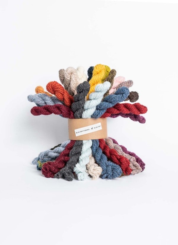 Woolstok Worsted Mini Skein Bundle - homesewn