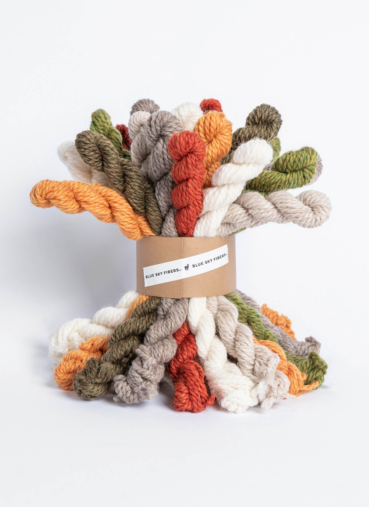 Woolstok Worsted Mini Skein Bundle - homesewn